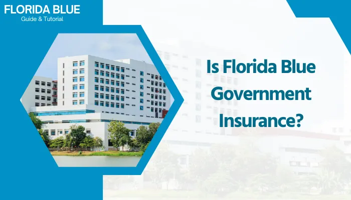 Is Florida Blue Government Insurance?