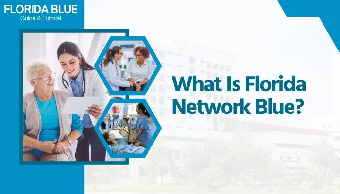 What Is Florida Network Blue?